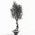 Title: Elegant Vase Branch Display 3D model small image 2