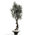 Title: Elegant Vase Branch Display 3D model small image 3