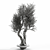 Elegant Branch Vase Decor 3D model small image 2