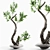 Elegant Branches in Glass Vase 3D model small image 1