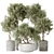 Elegant Indoor Olive Tree Set 3D model small image 1