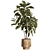 Natural Wood Indoor Plant Decor 3D model small image 7