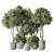 Indoor Olive Trees Set of 5 3D model small image 1