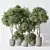 Indoor Olive Trees Set of 5 3D model small image 2