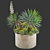 Yucca Euphorbia Planters 3D Model 3D model small image 2