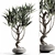 Cascading Branches in Vases 3D model small image 1