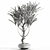 Cascading Branches in Vases 3D model small image 2