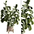 Modern Indoor Plant 515 Design 3D model small image 1