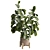 Modern Indoor Plant 515 Design 3D model small image 3