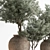  742 Indoor Tree in Pot 3D model small image 4