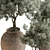  742 Indoor Tree in Pot 3D model small image 6