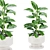 32k Plants Set for 3Dmax 3D model small image 1