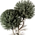 Tree Vol 17 3D Model 3D model small image 2