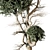 Tree Vol 17 3D Model 3D model small image 3