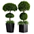 Centimeter Outdoor Plant Set 01 3D model small image 1