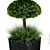 Centimeter Outdoor Plant Set 01 3D model small image 2