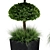 Centimeter Outdoor Plant Set 01 3D model small image 7