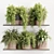 High-Quality Indoor Plants Set 3D model small image 1