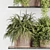 High-Quality Indoor Plants Set 3D model small image 3