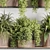 High-Quality Indoor Plants Set 3D model small image 4