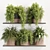 High-Quality Indoor Plants Set 3D model small image 7