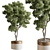 Foliage Finesse: Tree in Pot 3D model small image 1