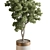 Foliage Finesse: Tree in Pot 3D model small image 2