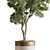 Foliage Finesse: Tree in Pot 3D model small image 3