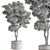 Foliage Finesse: Tree in Pot 3D model small image 4