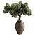 Bonsai Plant 743 - Indoor Beauty 3D model small image 2