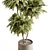 Outdoor Tree in Pot Display 3D model small image 2