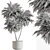 Outdoor Tree in Pot Display 3D model small image 4