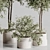 Lush Indoor Plant Set 88 3D model small image 4