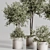 Lush Indoor Plant Set 88 3D model small image 5