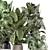 Stylish Indoor Plants Set 2286 3D model small image 2