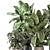 Stylish Indoor Plants Set 2286 3D model small image 3