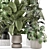 Stylish Indoor Plants Set 2286 3D model small image 4