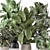 Stylish Indoor Plants Set 2286 3D model small image 6