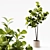 Detailed 3D Indoor Plant Model 3D model small image 3