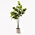 Detailed 3D Indoor Plant Model 3D model small image 5