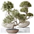 3-in-1 Indoor Plants Set 3D model small image 1