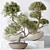 3-in-1 Indoor Plants Set 3D model small image 2