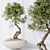 3-in-1 Indoor Plants Set 3D model small image 5