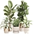 Indoor Oasis Plant Set 0115 3D model small image 1