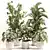 Indoor Oasis Plant Set 0115 3D model small image 6