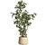 Modern Indoor Plant with Concrete Pot 3D model small image 1