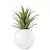 Green Dracaena Cane Houseplant Deco 3D model small image 1