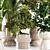 Premium Indoor Plants Set 107 3D model small image 3