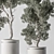 Tall Tree in Decorative Pot 3D model small image 4