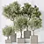 Exquisite Indoor Plant Set 95 3D model small image 2